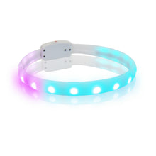 Load image into Gallery viewer, Flash Collar For Dogs USB Charging Anti-Lost Silicone Necklace Pet Products