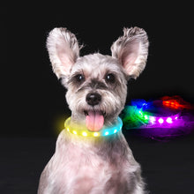 Load image into Gallery viewer, Flash Collar For Dogs USB Charging Anti-Lost Silicone Necklace Pet Products